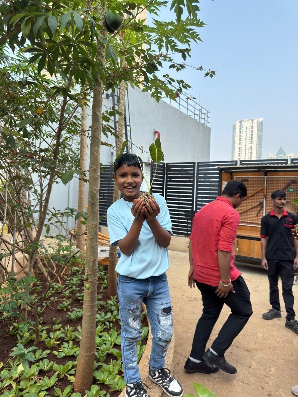 A child holding a sapling